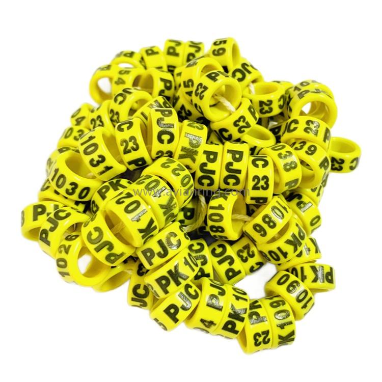 2023 EE ring