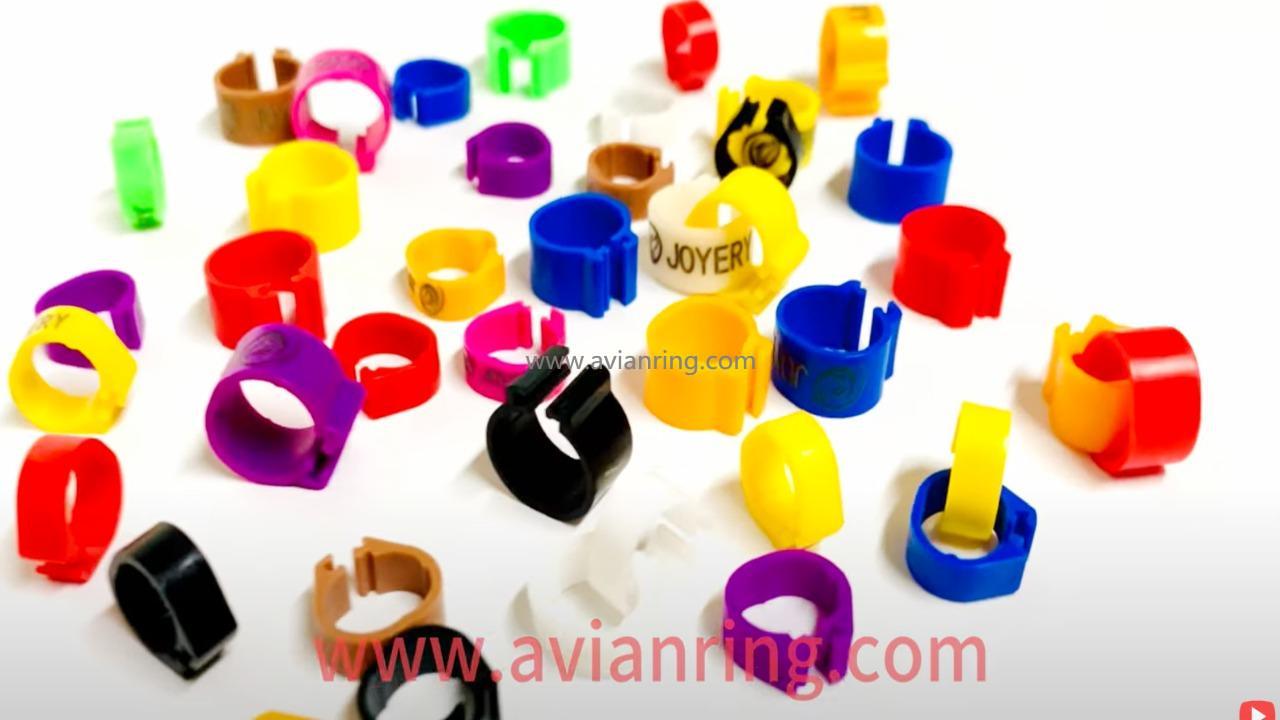 2023-11-7 plastic clip Pigeon ring