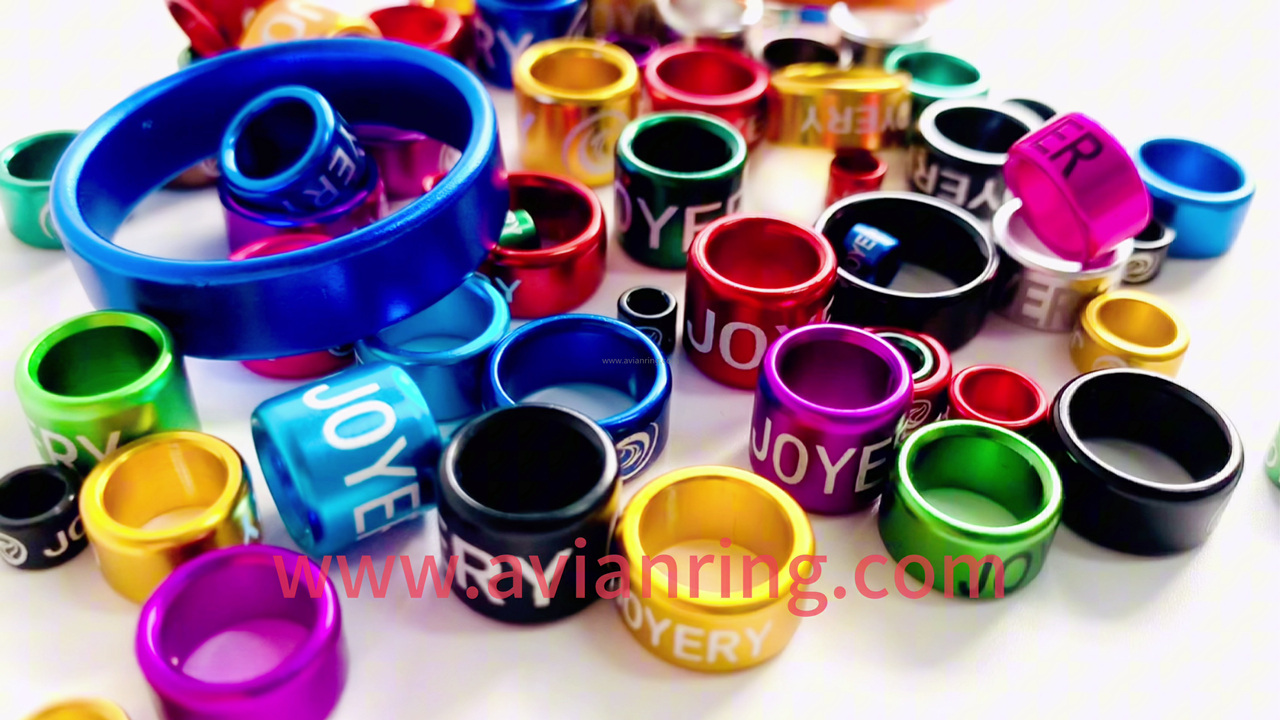 2023-11-2 Aluminum Bird ring