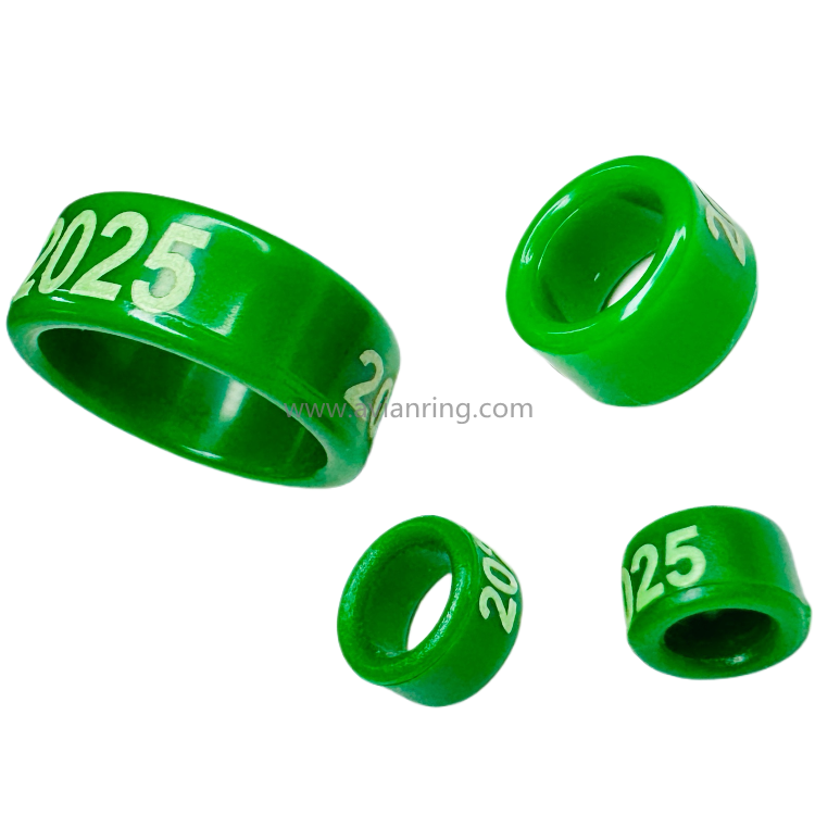 2025 EE ring