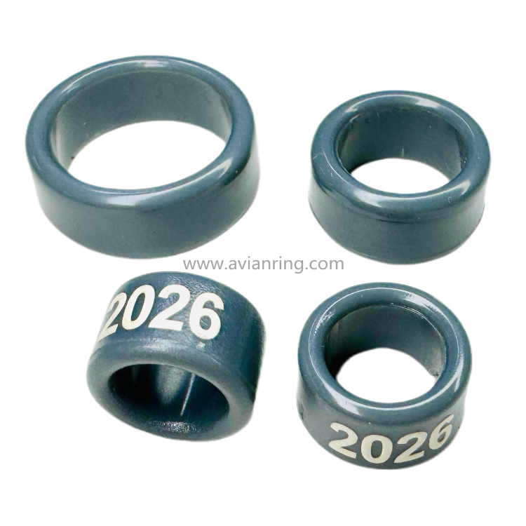 2026 EE ring