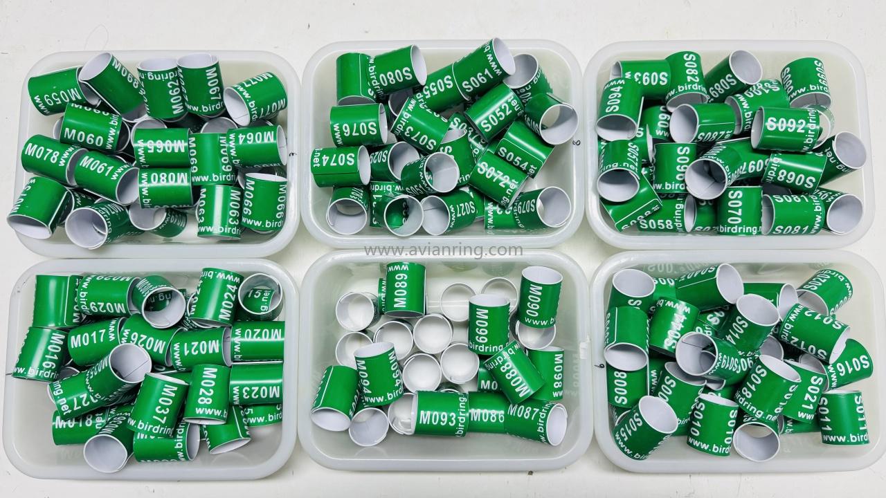 2025-11-5 sent to Belgium