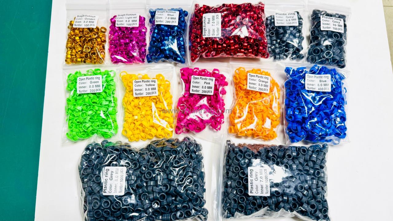 2026-1-13 sent to Italy