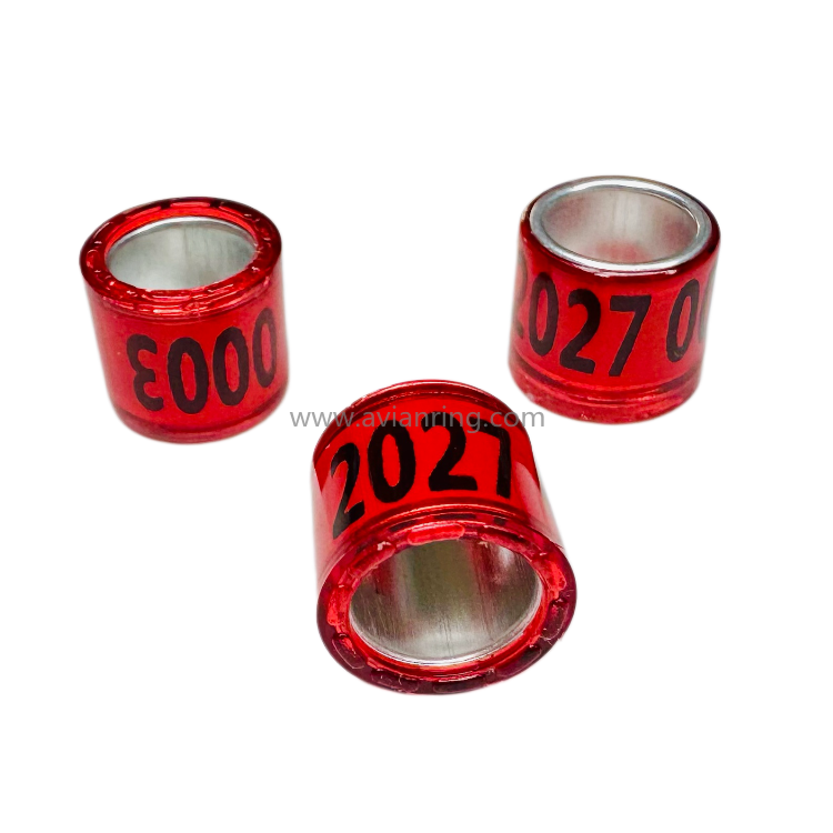 2027 pigeon ring