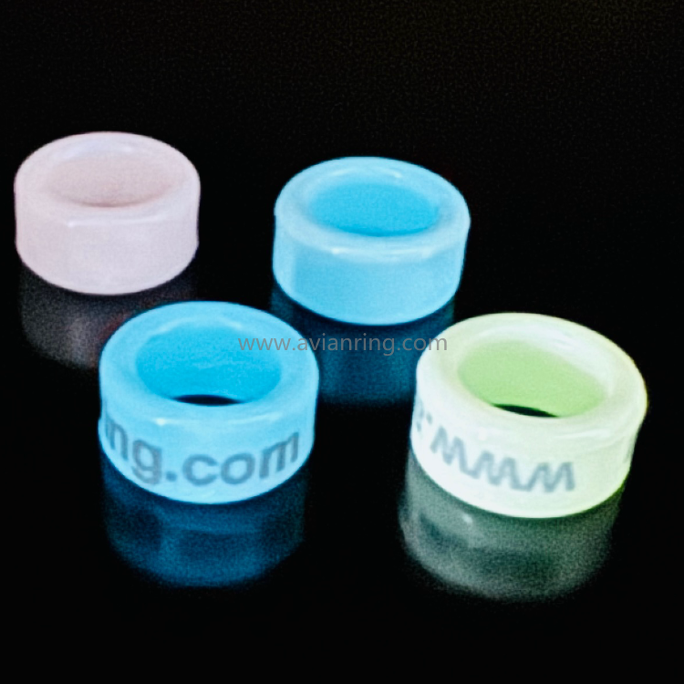 Fluorescent Plastic Round Ring