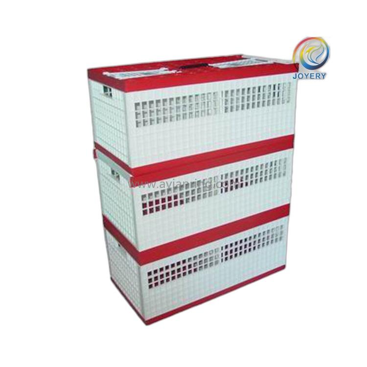 1762931126153737.jpg 004_副本.jpg